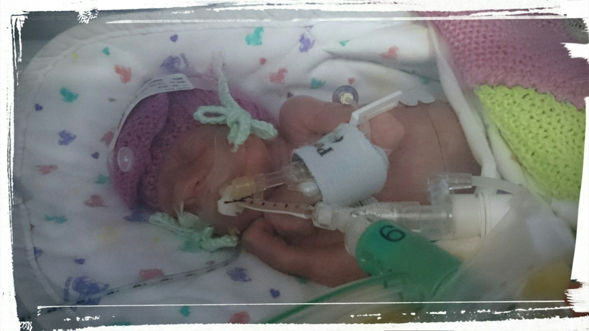 wp-1414421829389 image