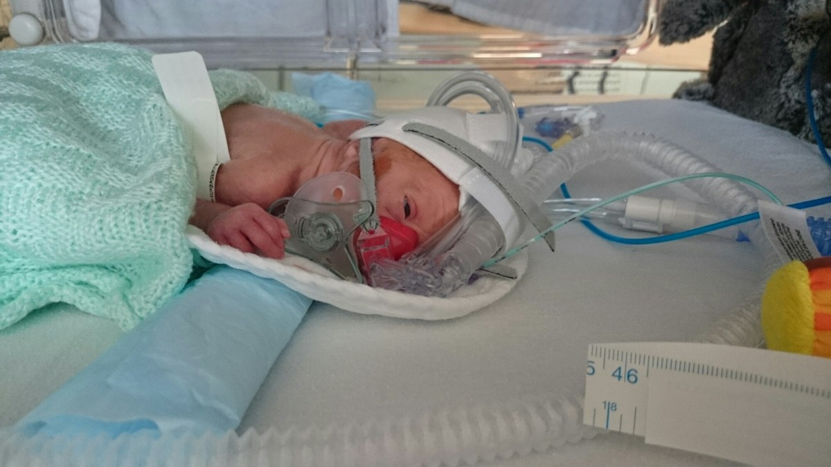 wp-1415183618025 image