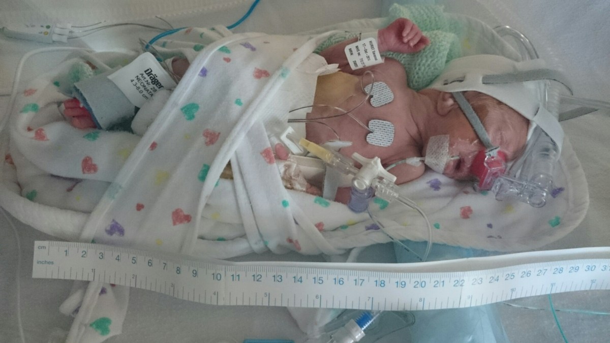 wp-1415193495198 image