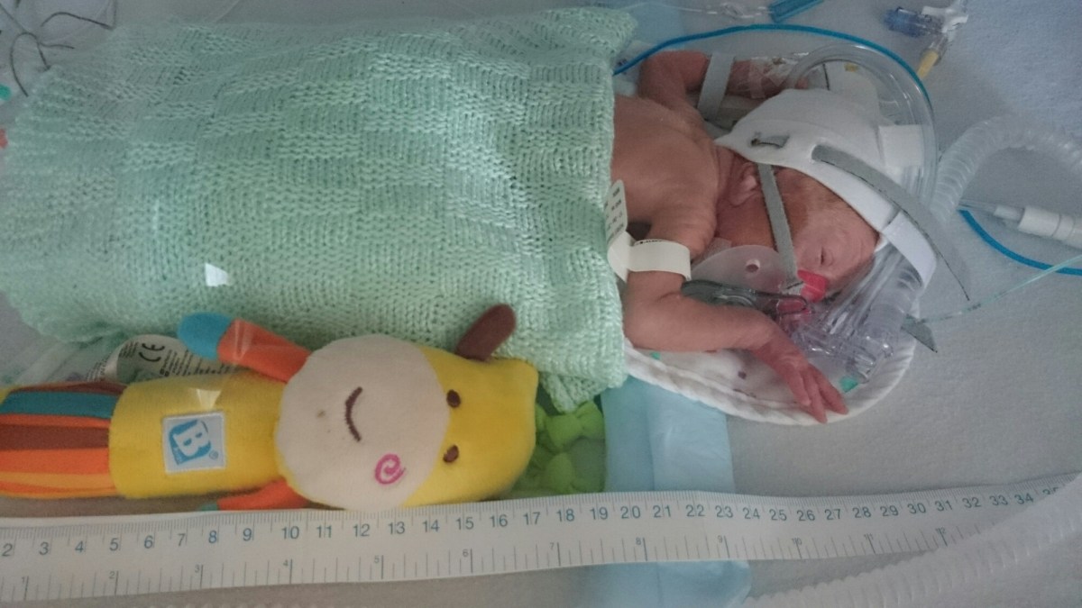 wp-1415193538759 image