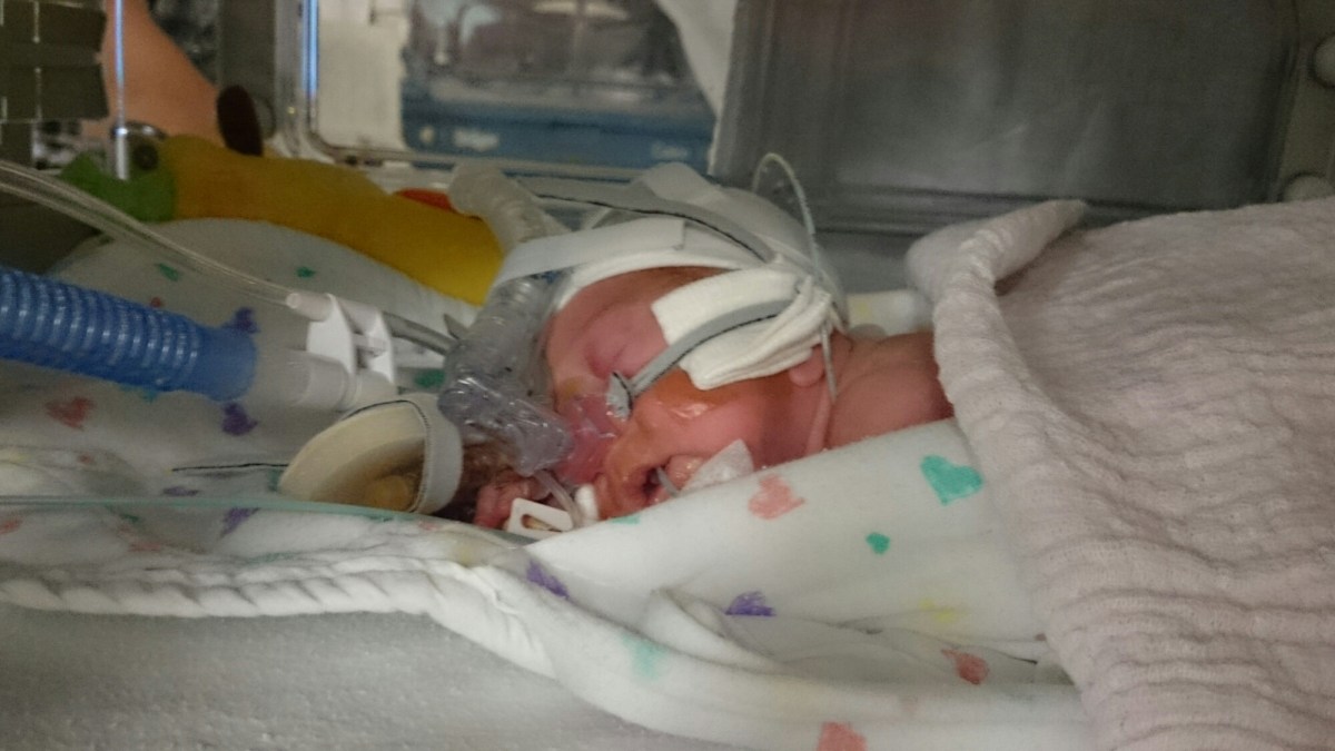 wp-1417202265874 image