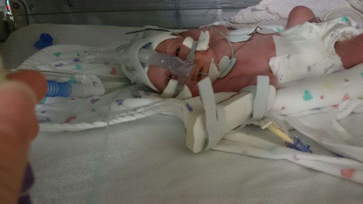 wp-1417202375920 image