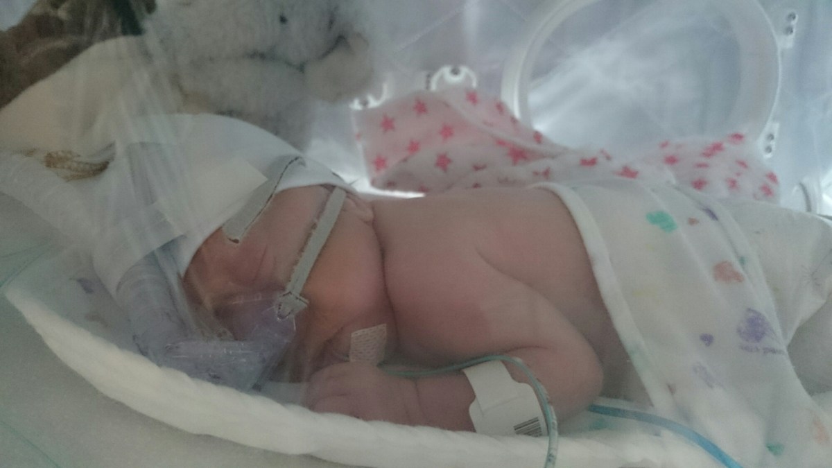 wp-1418293283313 image