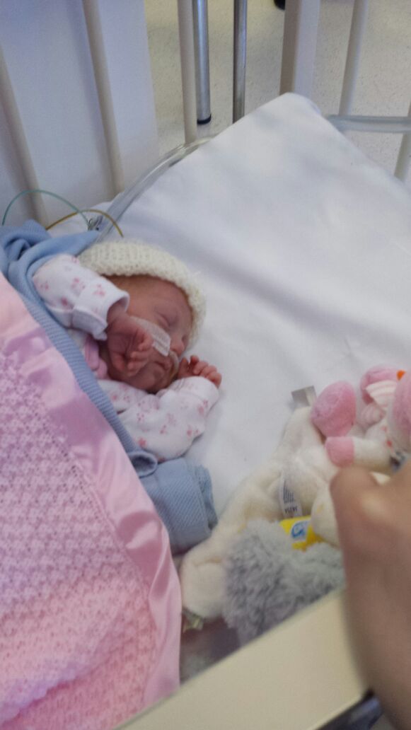 wp-1419444026837 image