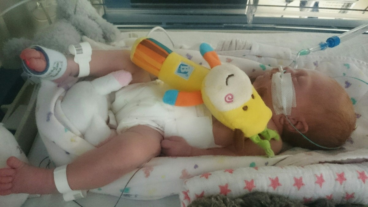 IMG_20141218_133723.JPG image