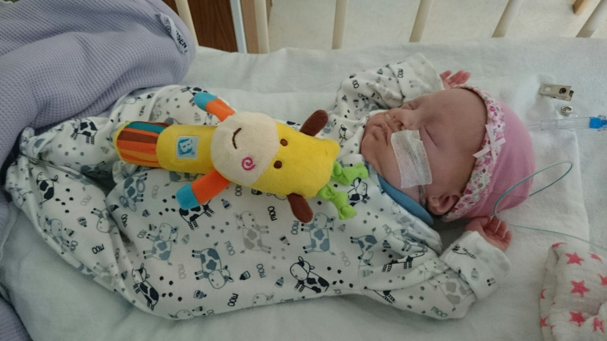 wp-1420457218670 image