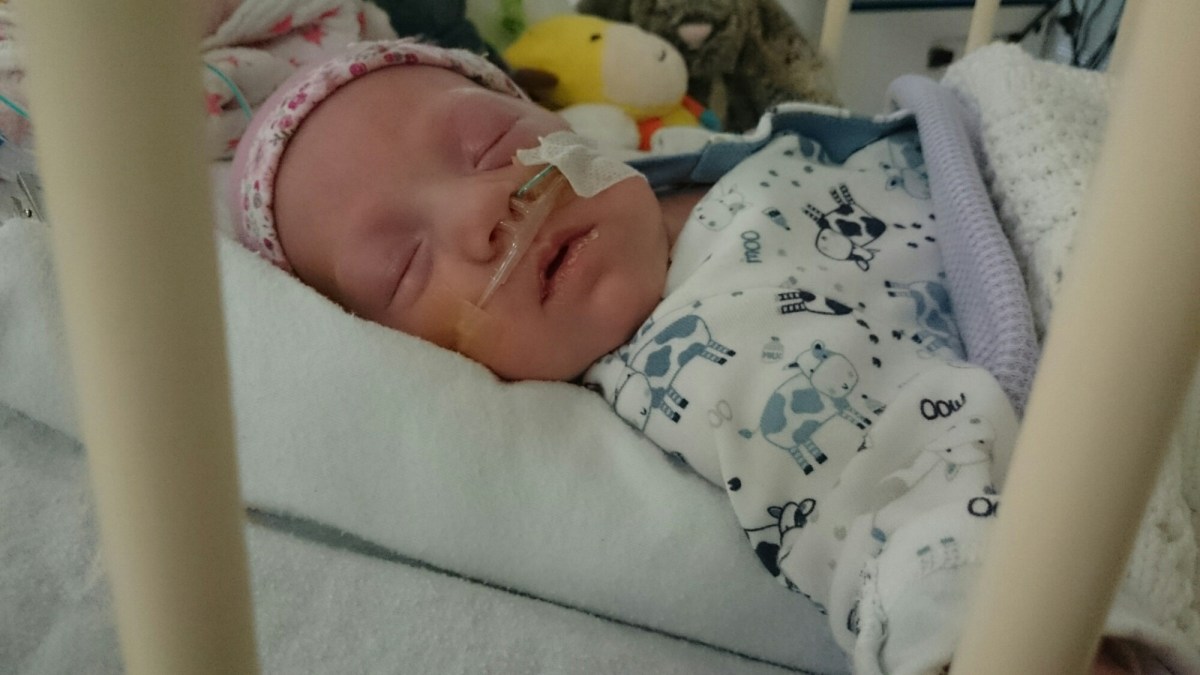 wp-1420481196655 image