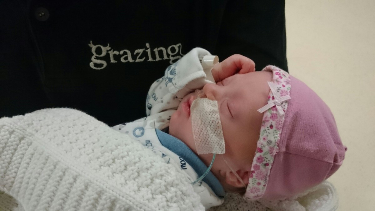 wp-1420481586457 image